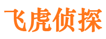 眉县侦探